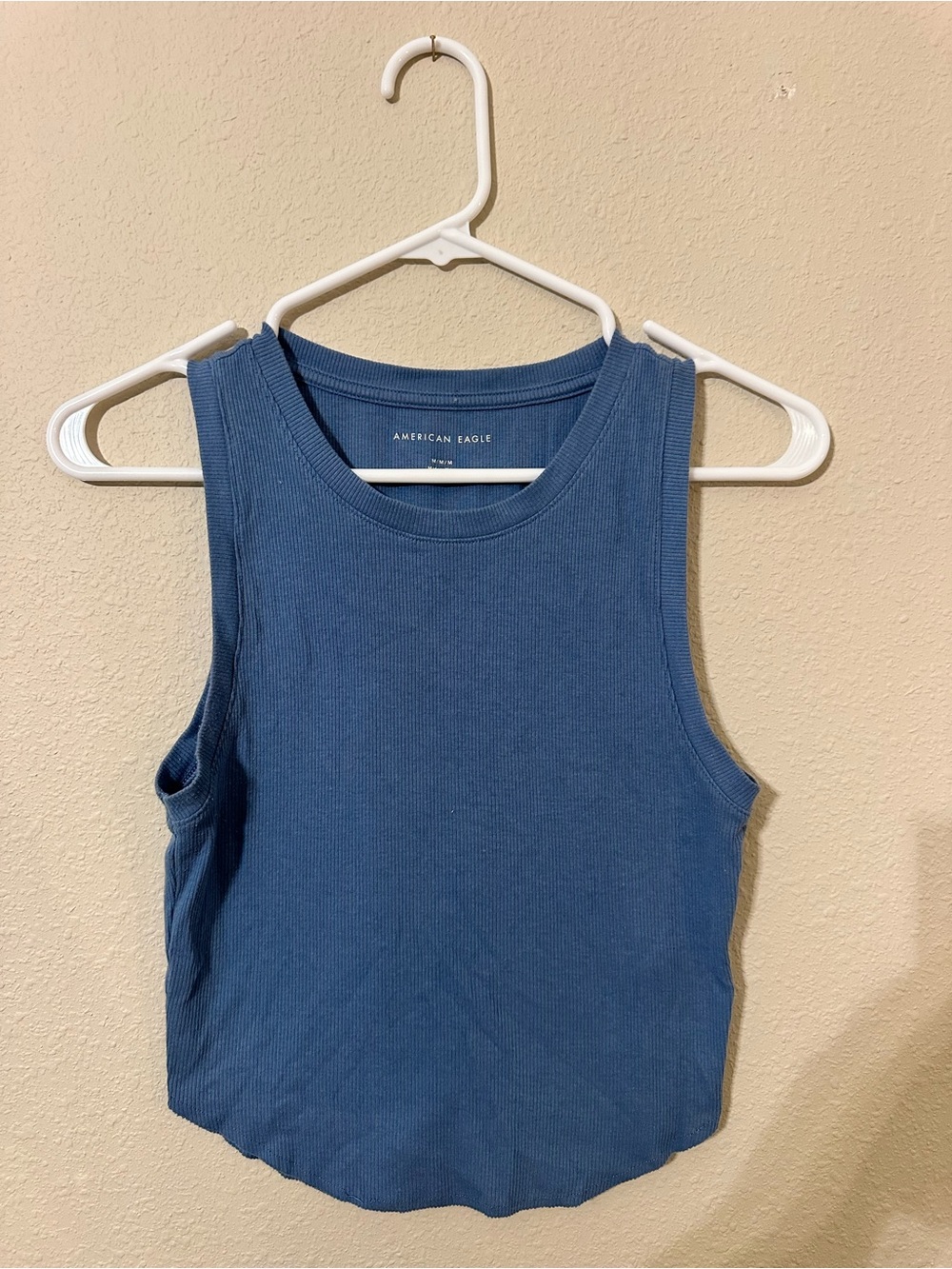 American Eagle Outfitters Blue Ribbed Cropped Tank